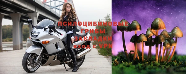 2c-b Абаза