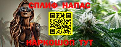 гашик Краснознаменск