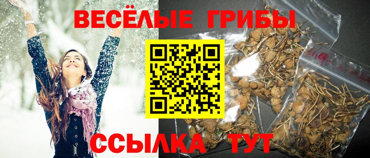 Псилоцибиновые грибы MAGIC MUSHROOMS  Вход с VPN  Азов 